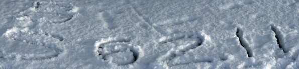 Picture of curling on Drumore Pond, 10 January 2010, 22KB
